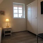 Reetdachhaus Wattenmeer Reetdachhaus Wattenmeer