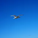 Reetdachhaus Wattenmeer Reetdachhaus Wattenmeer 펜션 *