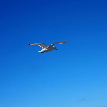 Reetdachhaus Wattenmeer Reetdachhaus Wattenmeer Tatil Evi *